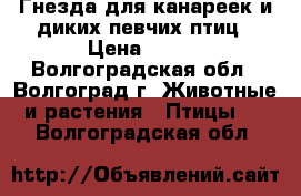 Гнезда для канареек и диких певчих птиц › Цена ­ 100 - Волгоградская обл., Волгоград г. Животные и растения » Птицы   . Волгоградская обл.